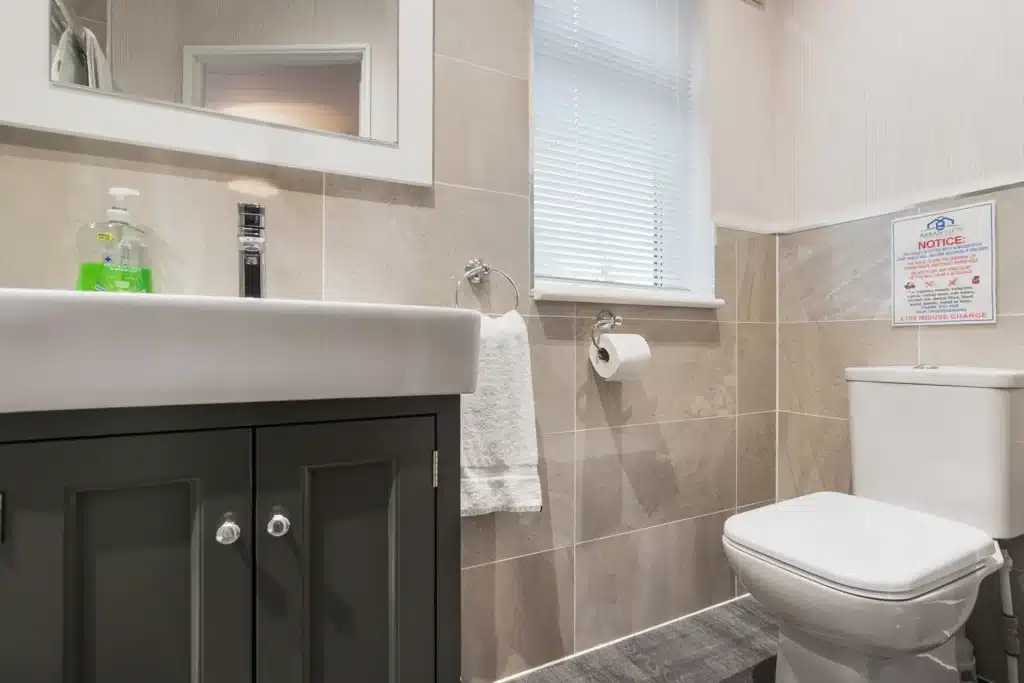Twin Lodge 1 bathroom with washbasin and toilet